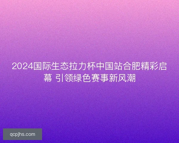 2024国际生态拉力杯中国站合肥精彩启幕 引领绿色赛事新风潮